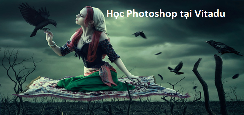 Học Photoshop tại Phú Trung Tân Phú xây dựng tương lai